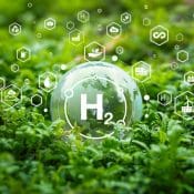 Issuance of New Law on Incentives for Green Hydrogen Projects