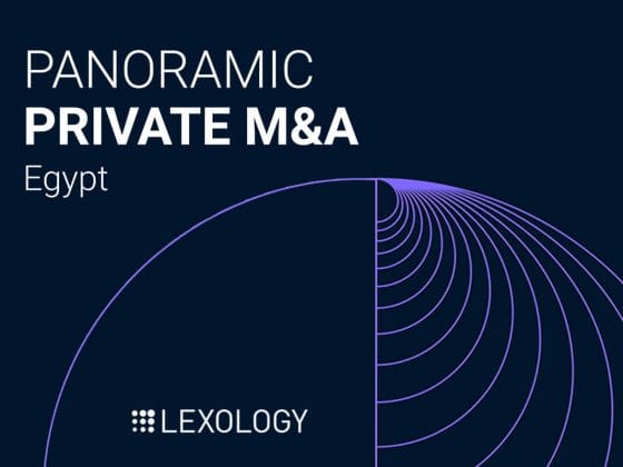 SH&P Presents Panoramic Guide on Private M&A