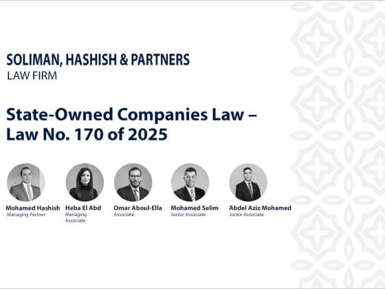 State-Owned Companies Law – Law No. 170 of 2025