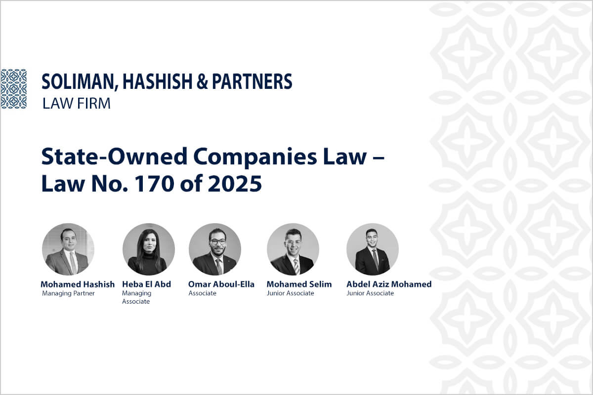 State-Owned Companies Law – Law No. 170 of 2025
