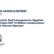 Data Breach Egypt Telecom Operators: A Case Study