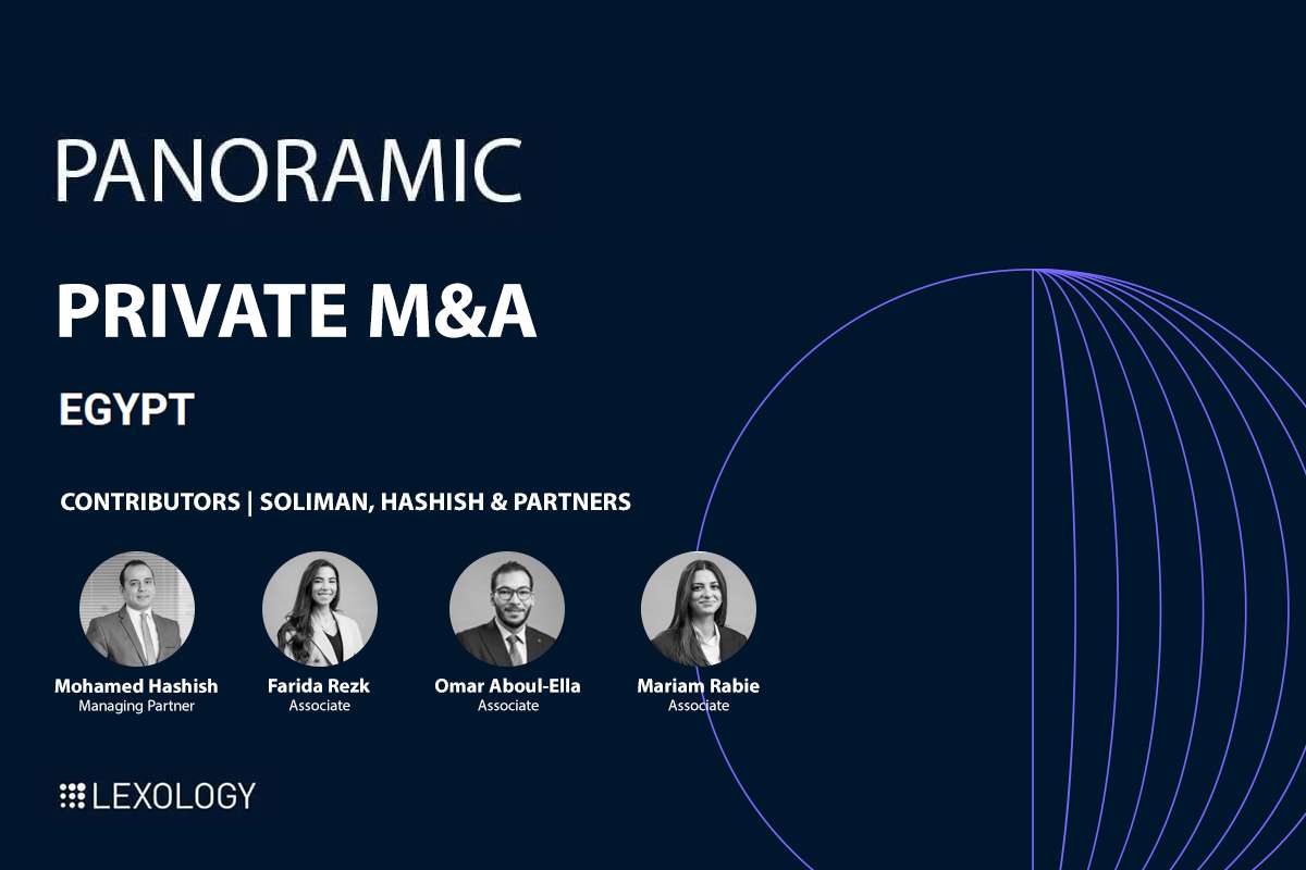 SH&P Presents Panoramic Guide on Private M&A